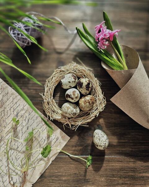 Photograph Lubov Tolstova Spring  Mood on One Eyeland